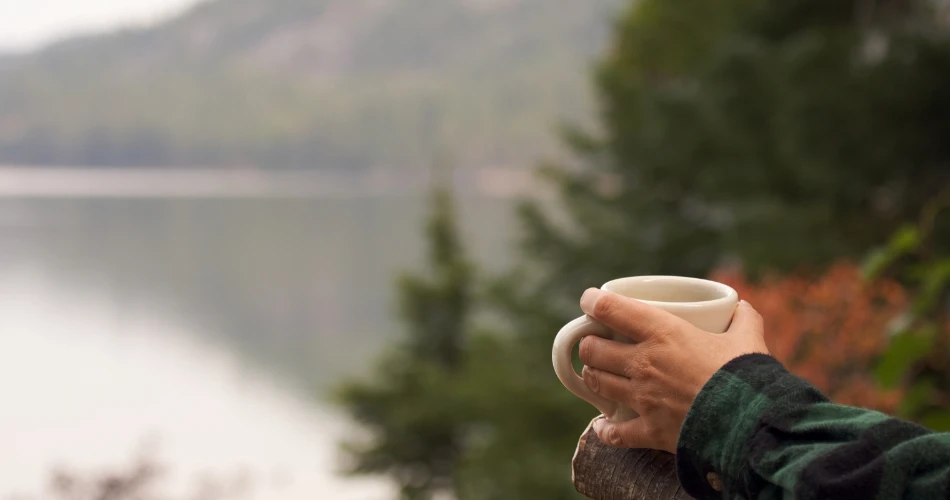 Parques Escénicos y Espacios Abiertos para Explorar en Kuwait